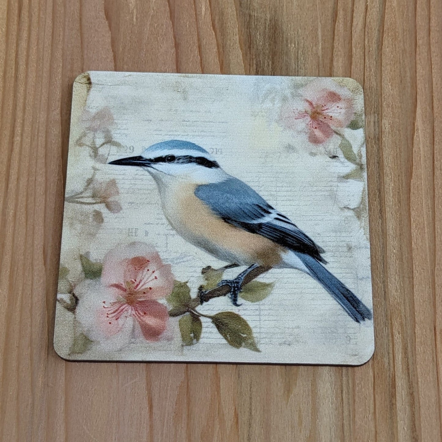 Set of 4 Bird Coasters