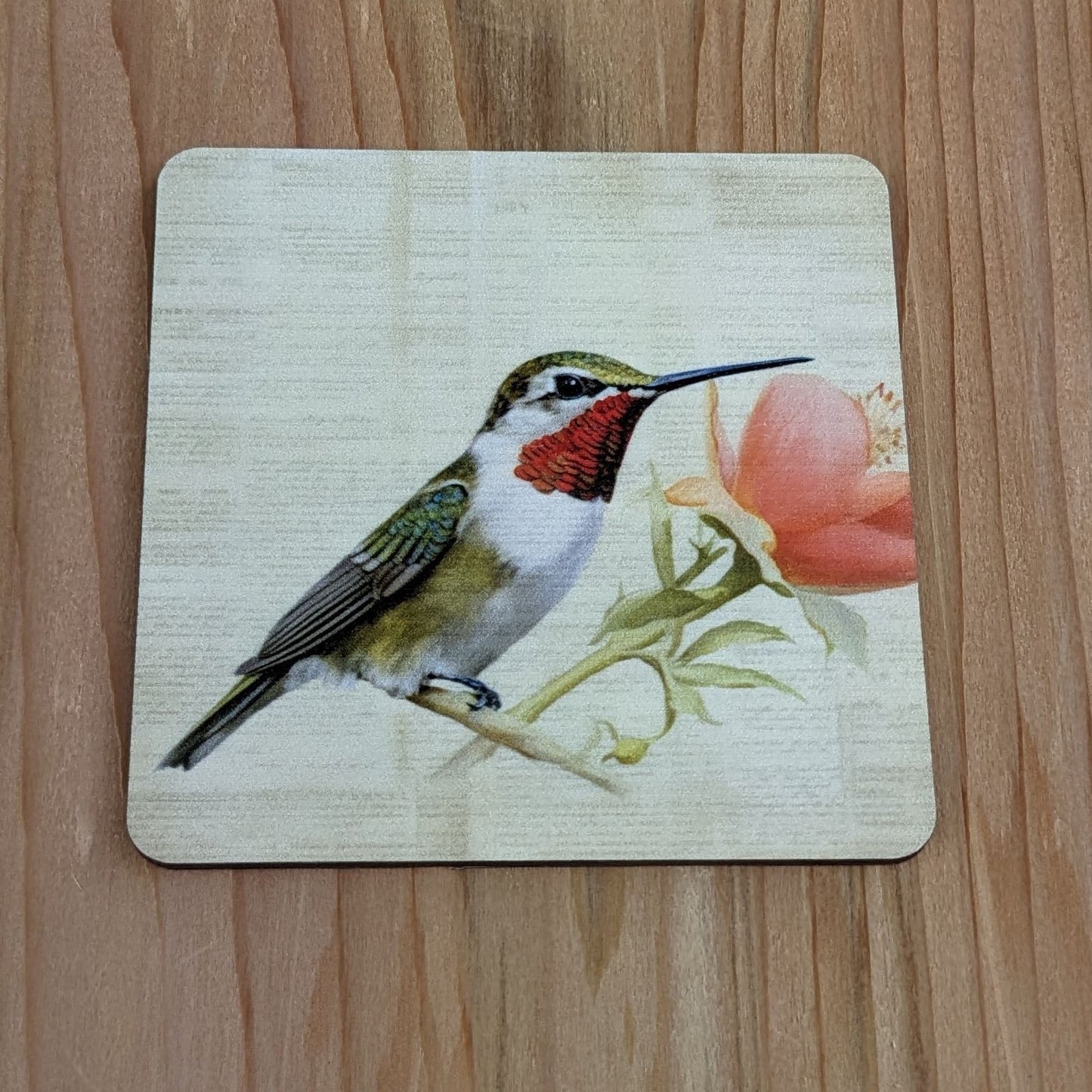 Set of 4 Bird Coasters