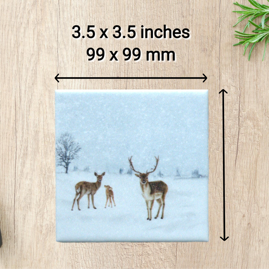 Winter Scene Ceramic Coasters