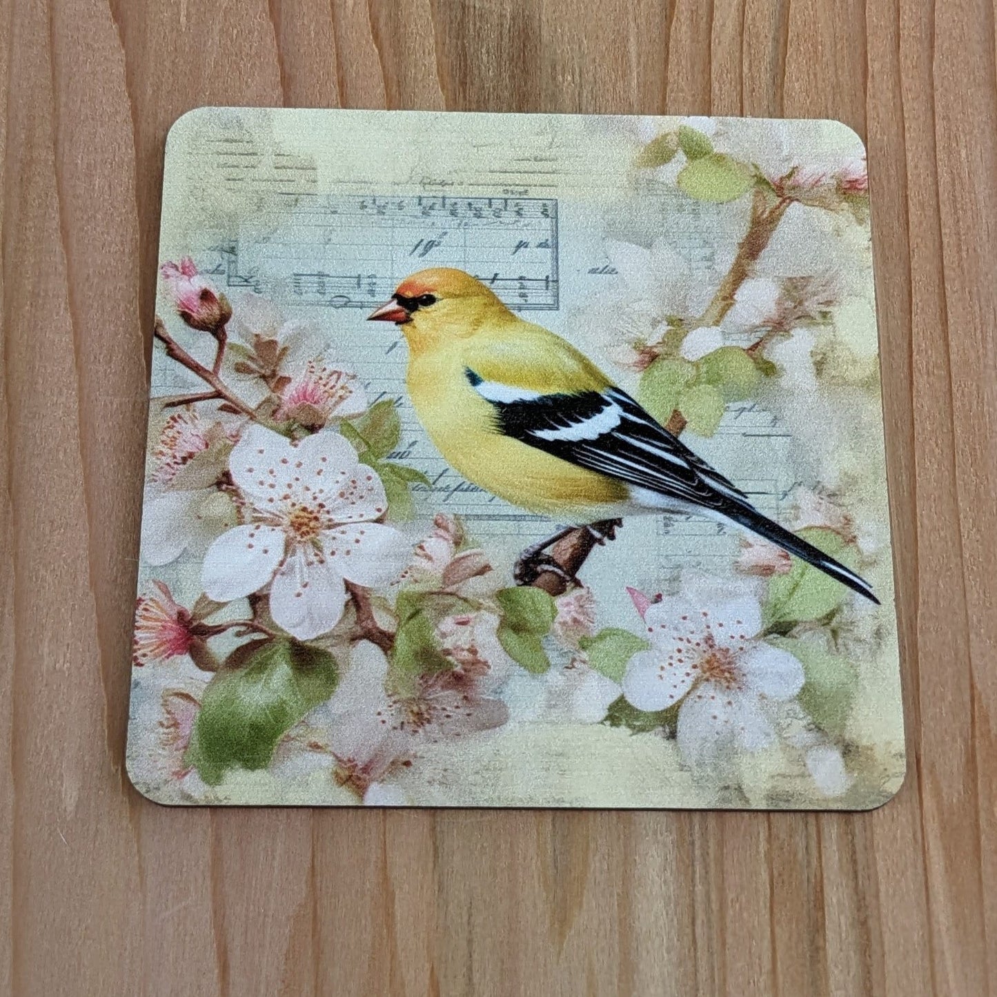 Set of 4 Bird Coasters