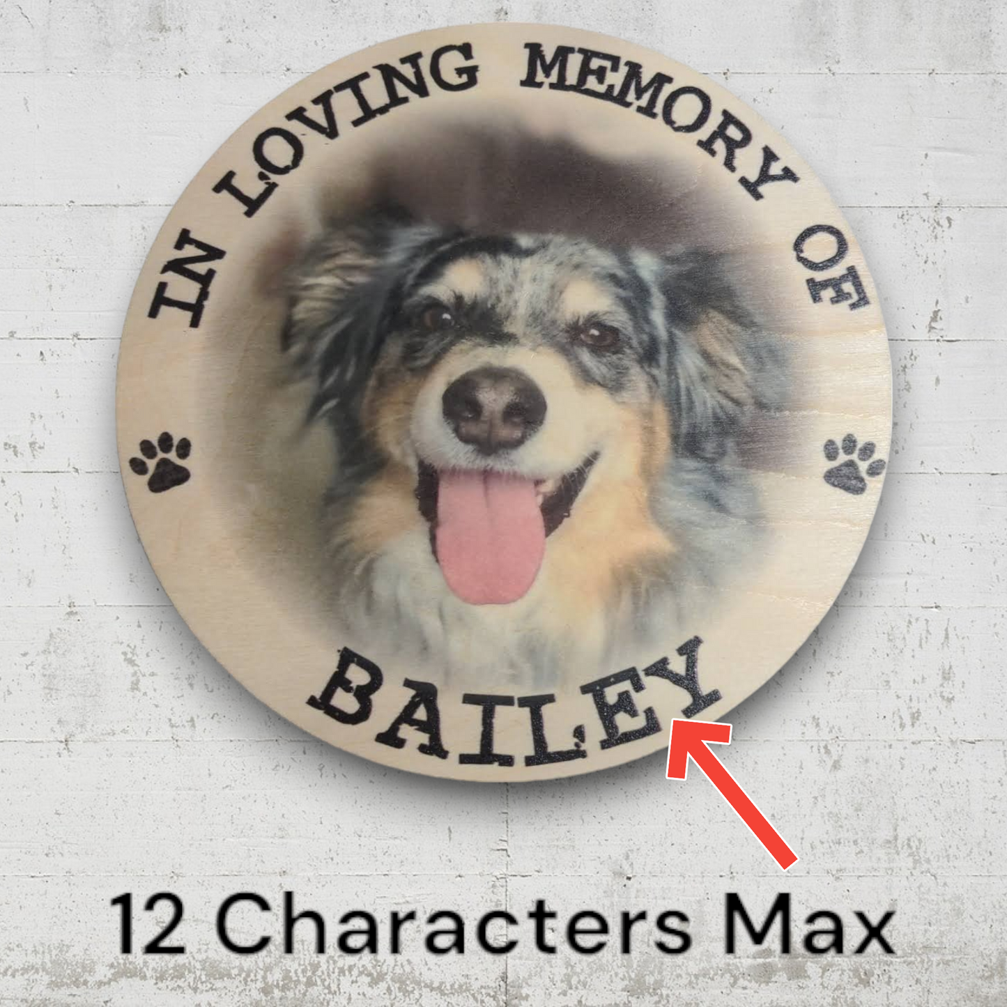 Pet Memorial Plaque