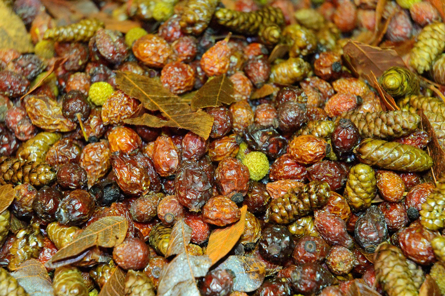 Fragrant Rosehips Potpourri