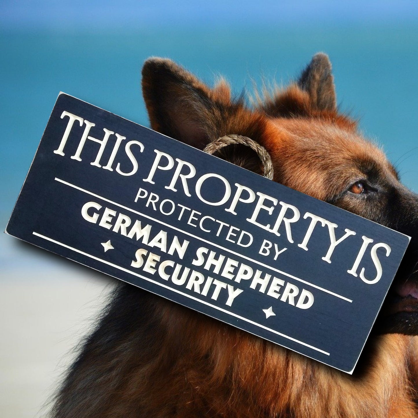 This property is protected by German shepherd, wood dog sign, personalize with your own dog breed