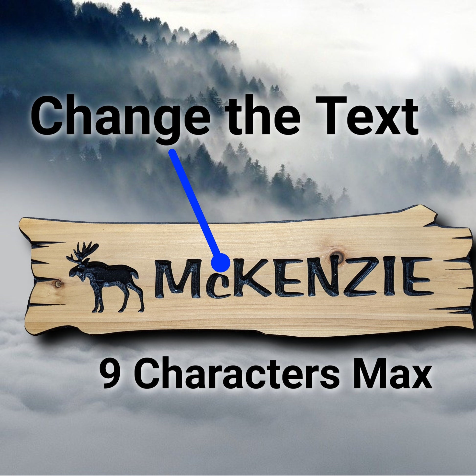 Cedar Exterior Sign, outdoor personalized wood house sign with carved moose, wooden custom cottage sign