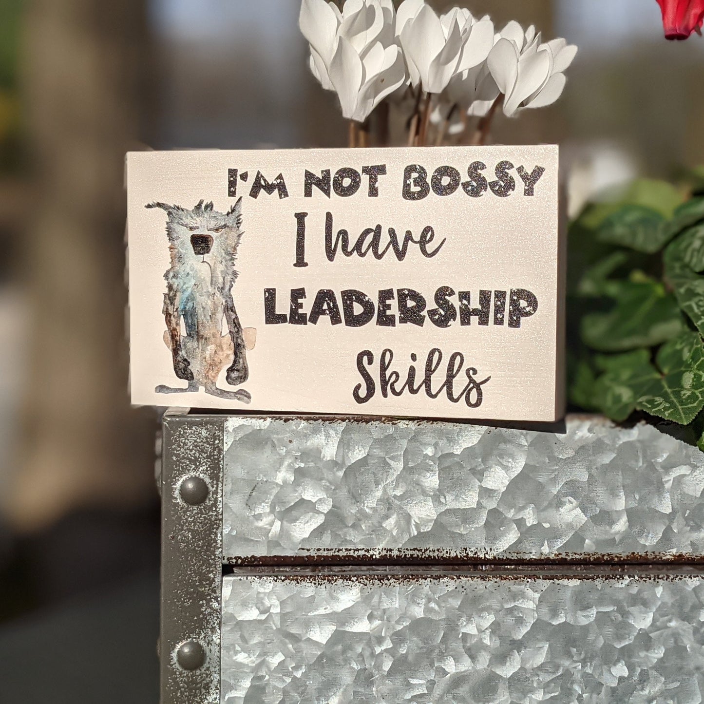Office wood sign, funny desk sign, shelf sign, I'm Not Bossy I have leadership skills