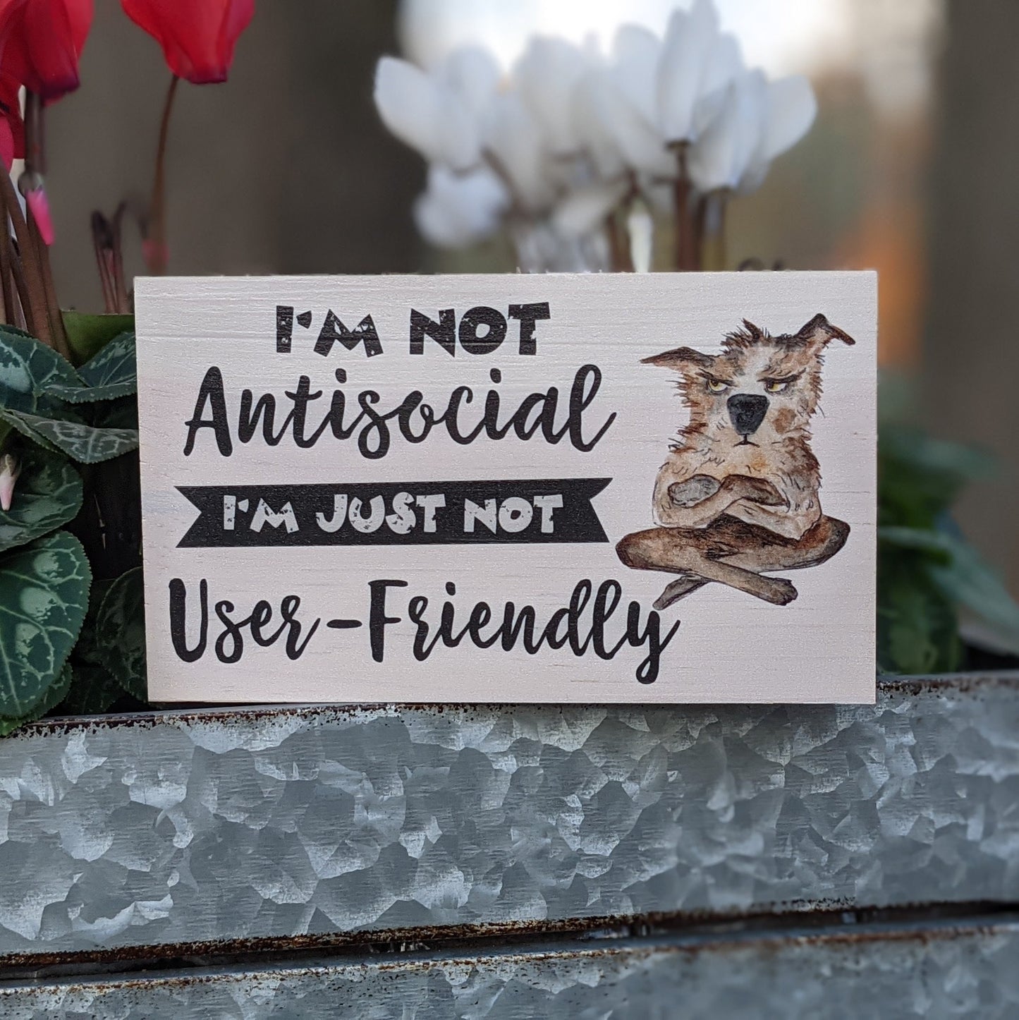 mini desk sign, funny quote block, small wood shelf sitter, office décor, I'm not antisocial