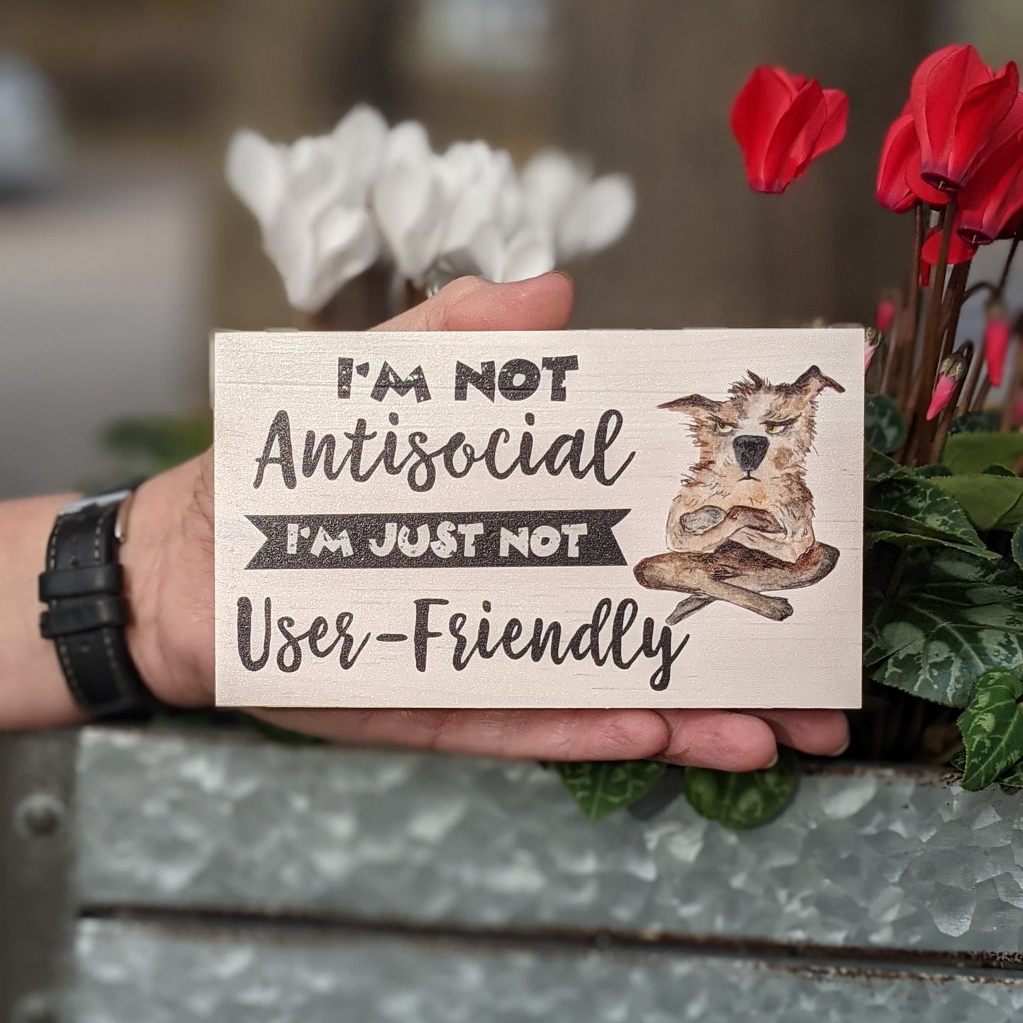 mini desk sign, funny quote block, small wood shelf sitter, office décor, I'm not antisocial