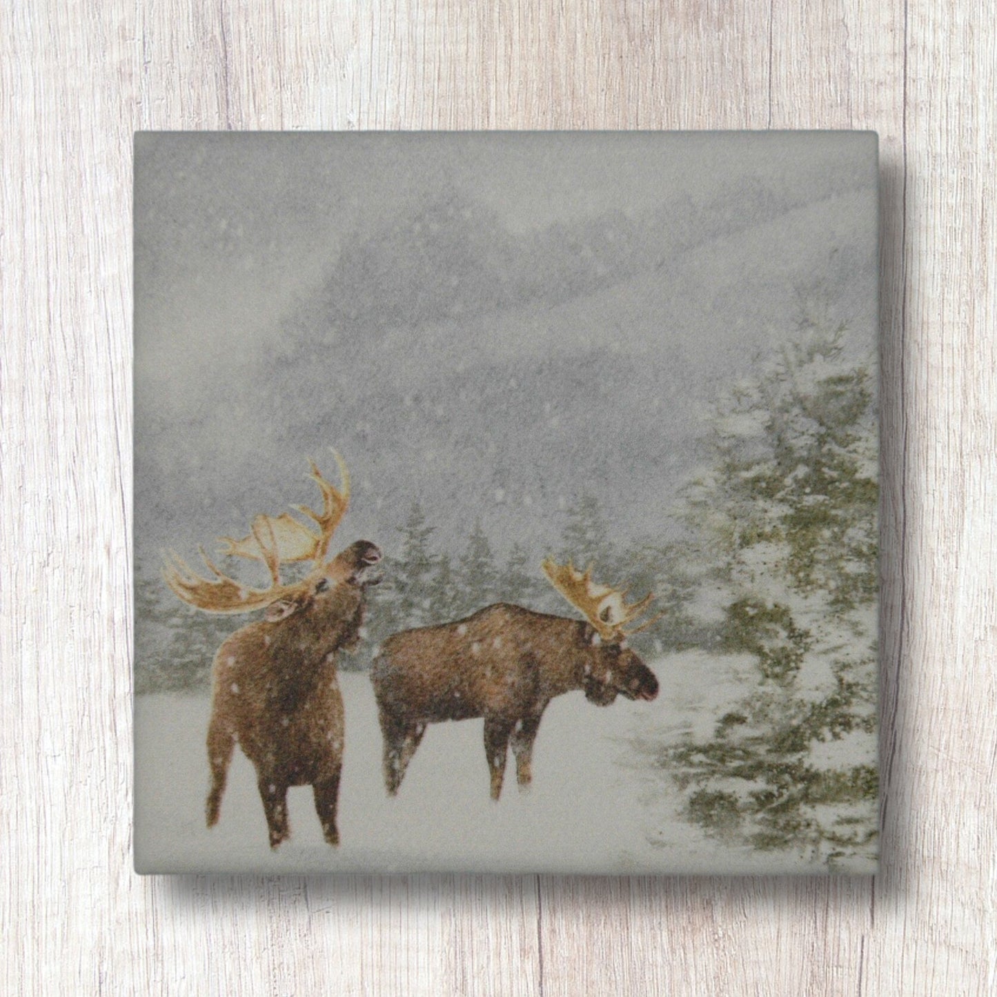 Ceramic Coasters with cork backing,Set of 4,winter nature scene,gift for mom