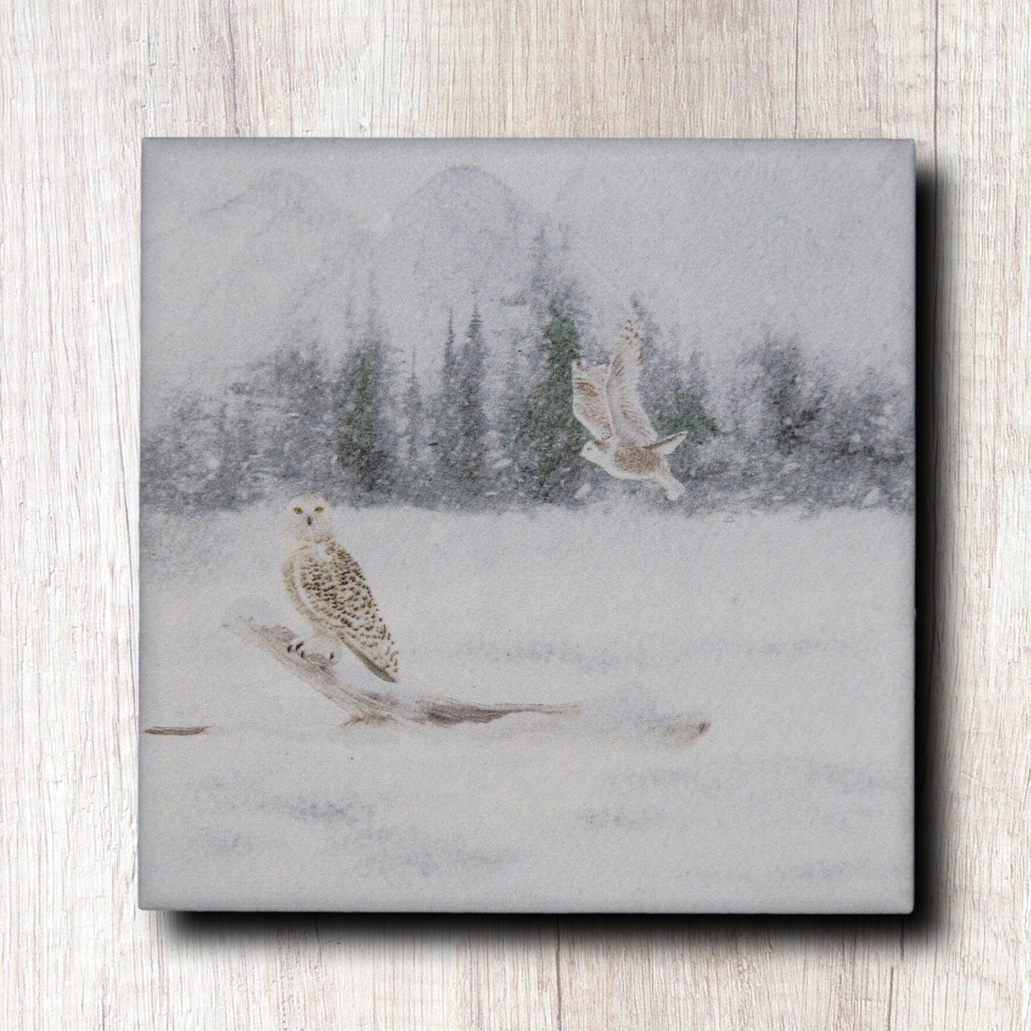 Ceramic Coasters with cork backing,Set of 4,winter nature scene,gift for mom