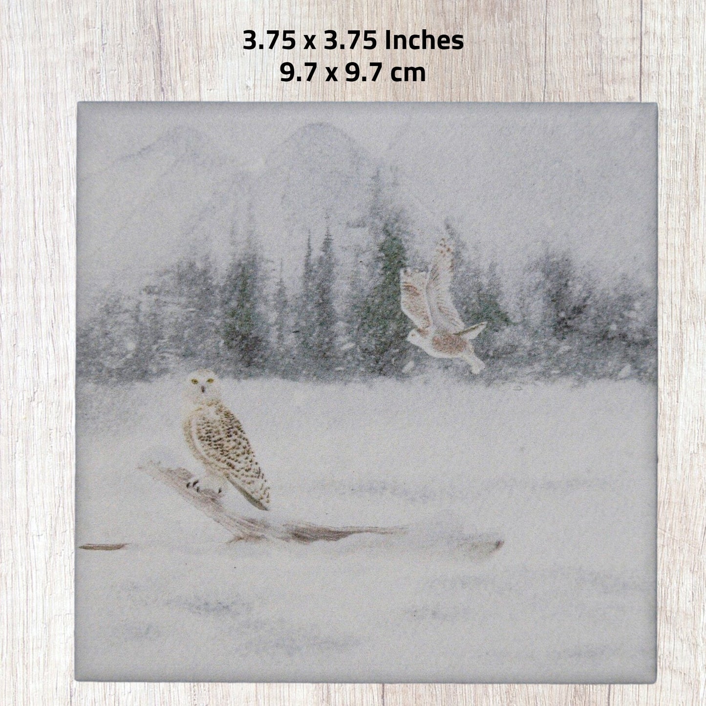 Ceramic Coasters with cork backing,Set of 4,winter nature scene,gift for mom