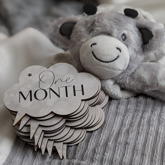 Baby Milestones discs, newborn photo props, wooden gender-neutral design, cloud shaped