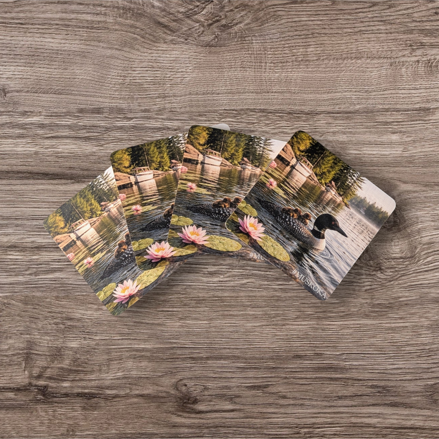 Canadian Loon Wooden Coaster – Rustic Muskoka Cottage Decor | Lake House Gift | Made in Canada