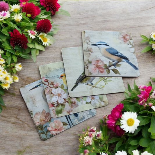 Set of 4 Bird Coasters