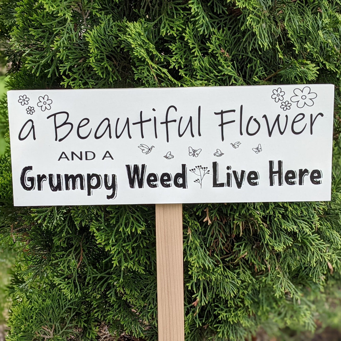 A white sign with the inscription "A beautiful flower and a Grumpy Weed Life here". Made of solid pine  and measures 15 x 6 inches