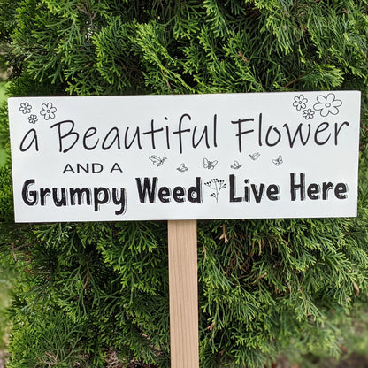 A white sign with the inscription "A beautiful flower and a Grumpy Weed Life here". Made of solid pine  and measures 15 x 6 inches