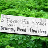 A Beautiful Flower and a Grumpy Weed Sign