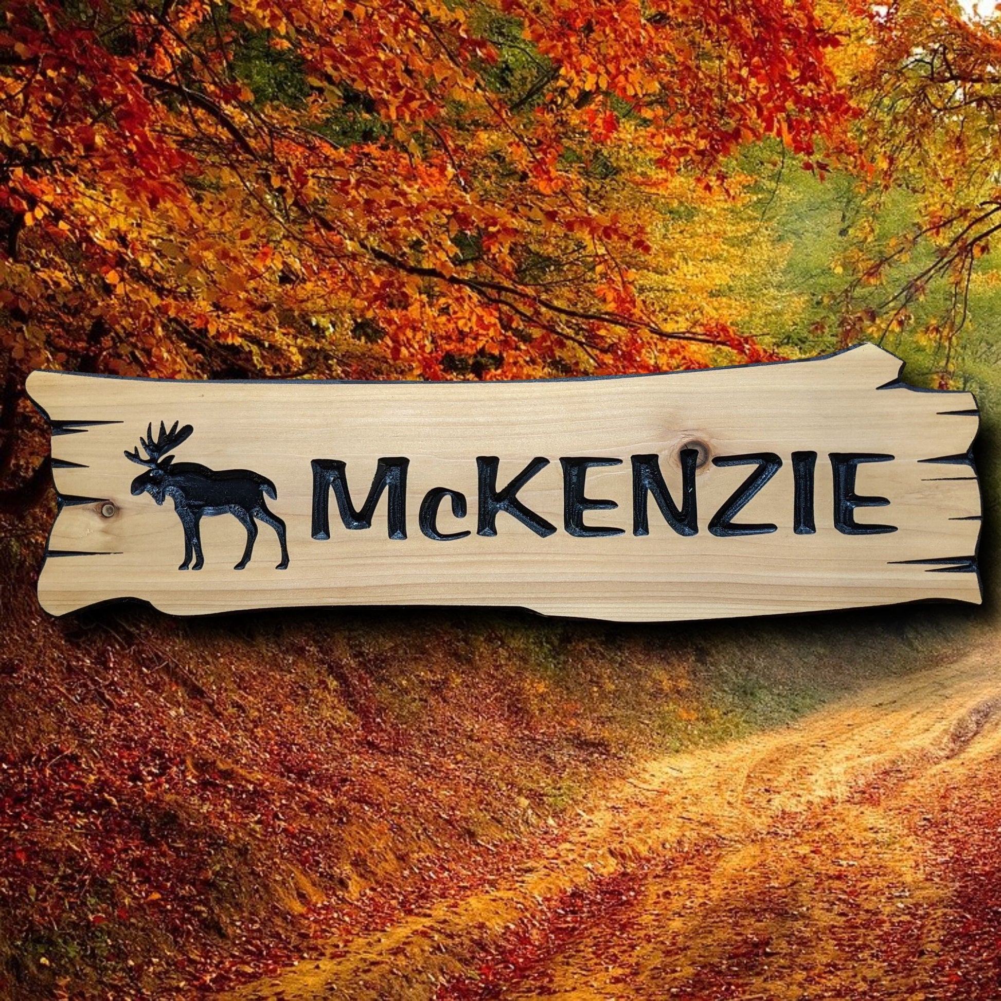 Cedar Exterior Sign, outdoor personalized wood house sign with carved moose, wooden custom cottage sign