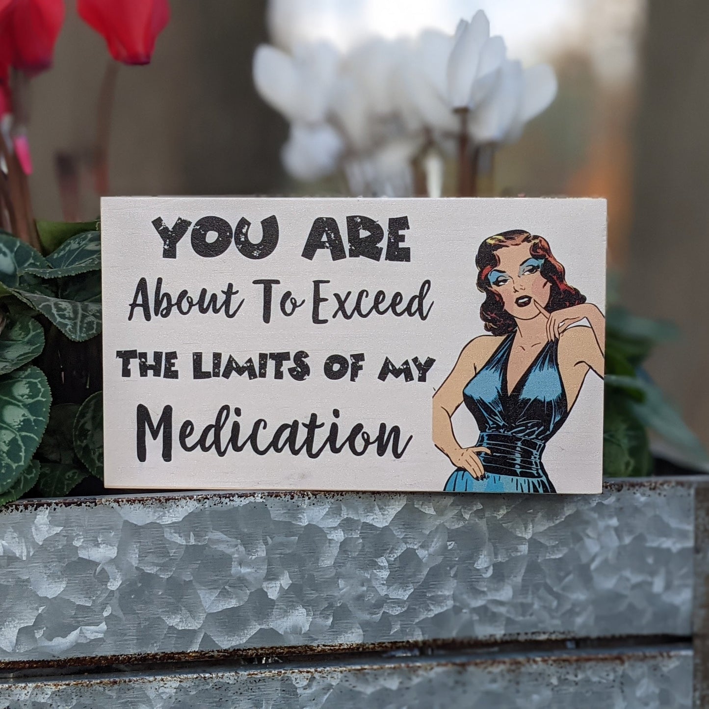 Funny sign, small desk sign, office décor, You are about to exceed the limits of my medication
