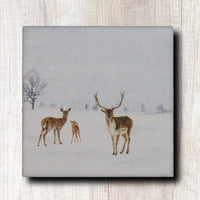 Ceramic Coasters with cork backing,Set of 4,winter nature scene,gift for mom