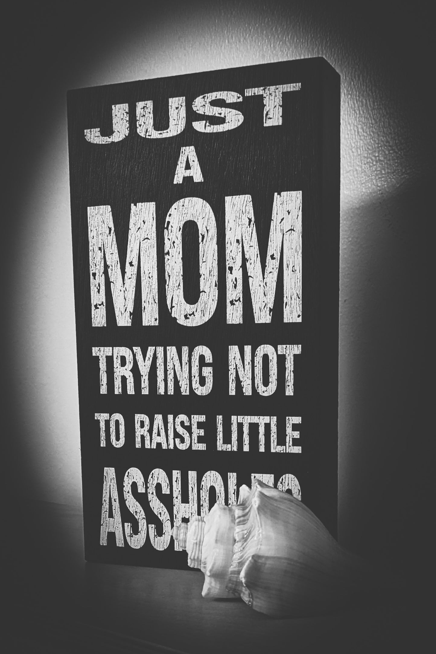 Just a Mom Trying to Raise Rustic Box sign
